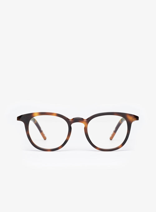 THE CREATOR in Havana Tortoise