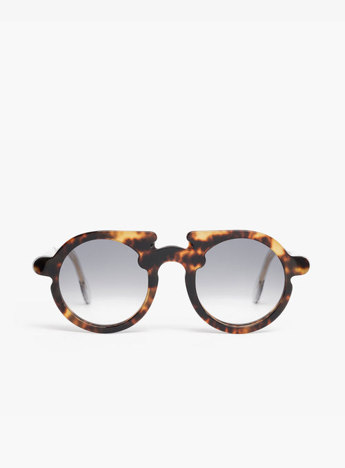 FLAVIN in Tortoise