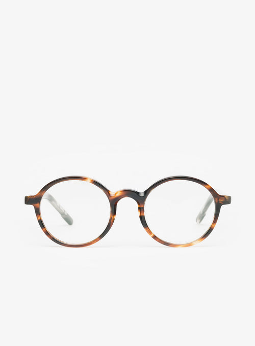 THE PRODUCER 49 in Tortoise